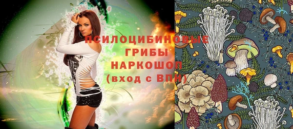 стаф Аркадак