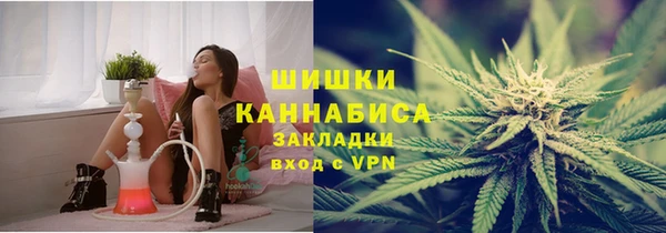 стаф Аркадак