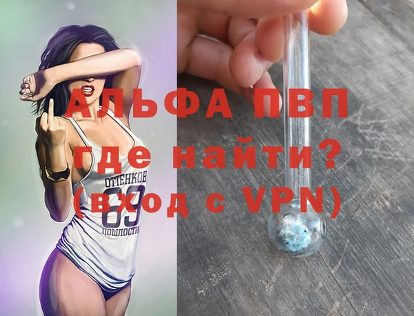 стаф Аркадак