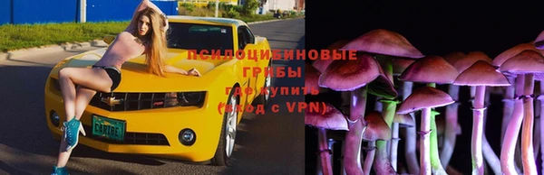стафф Армянск
