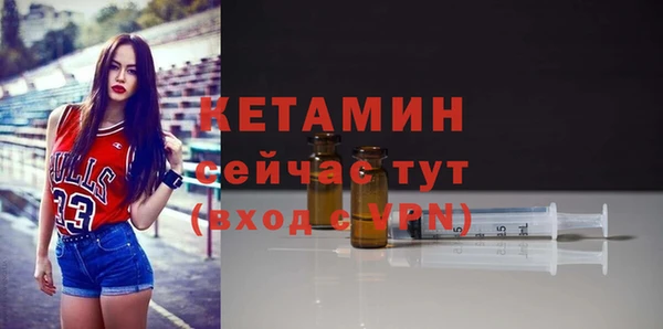 стаф Аркадак