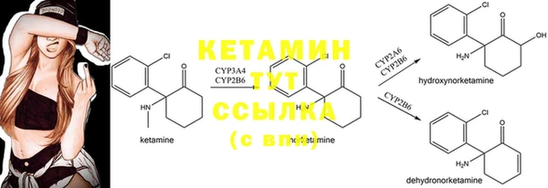 стафф Армянск