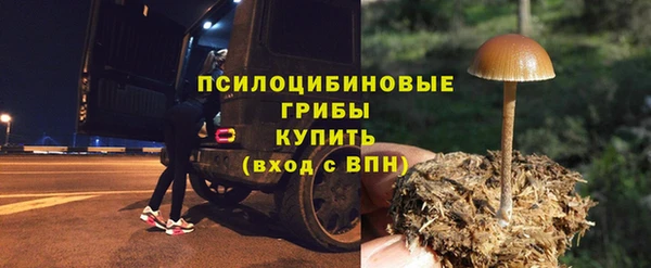 стафф Армянск