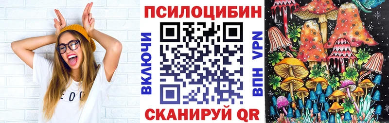Галлюциногенные грибы Psilocybe Салаир