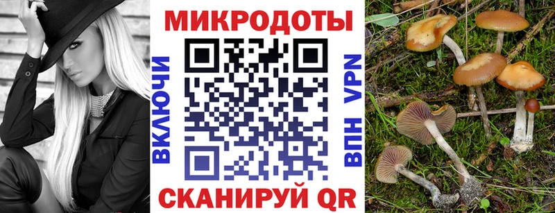 Псилоцибиновые грибы MAGIC MUSHROOMS  Салаир 